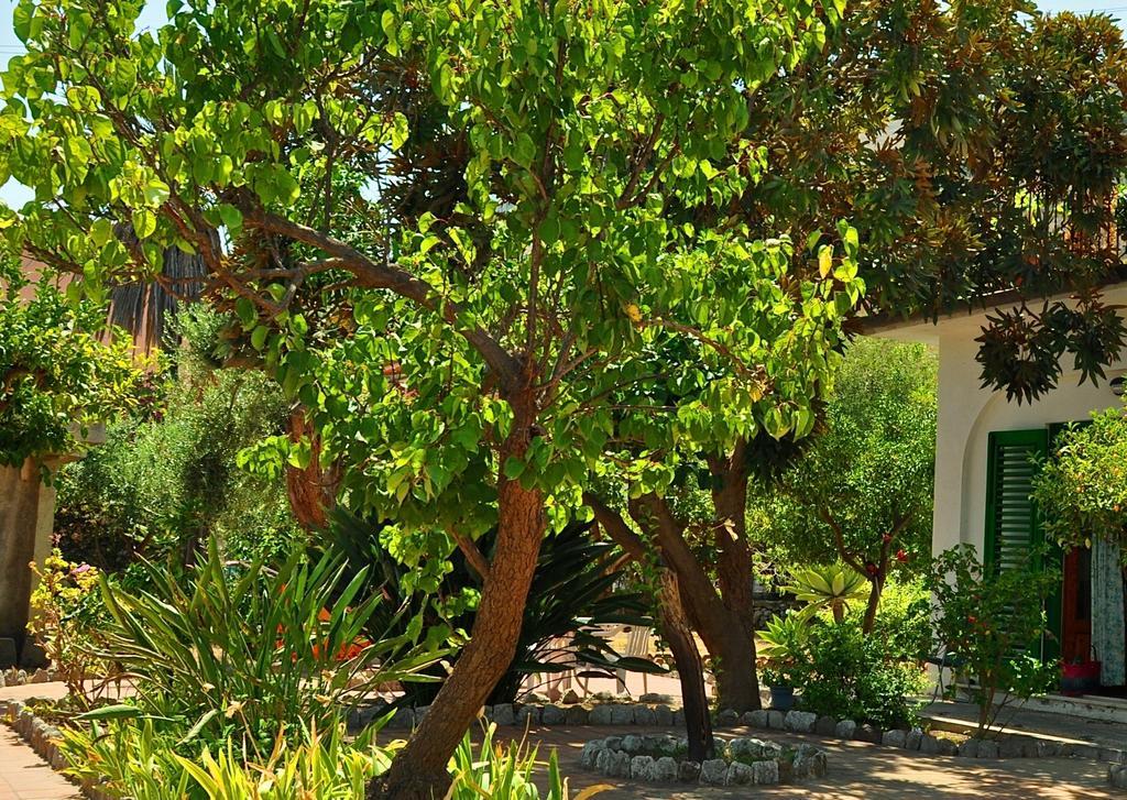 Seafront Apartments Garden House Taormina Room photo